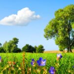 10 US States That Serve Up Nearly Perfect Weather Year‑Round