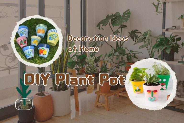 Know about DIY Plant Pot Decoration Ideas