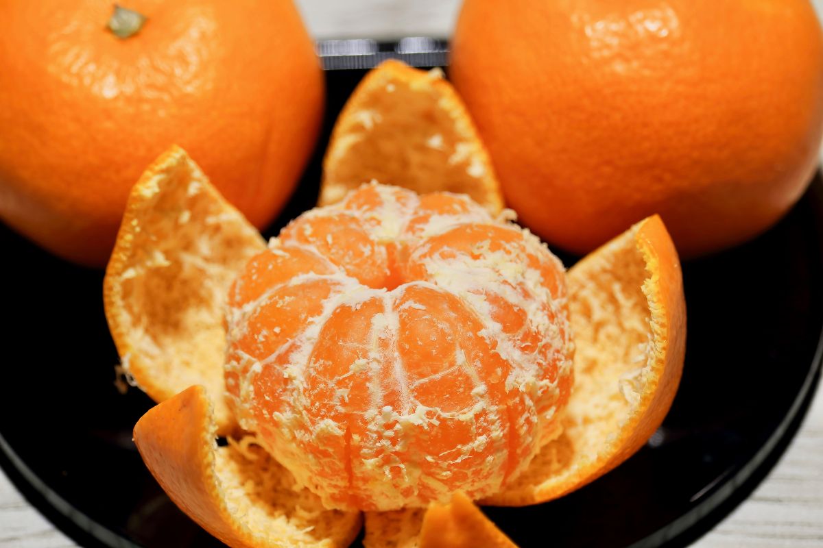 What Even Is a Satsuma