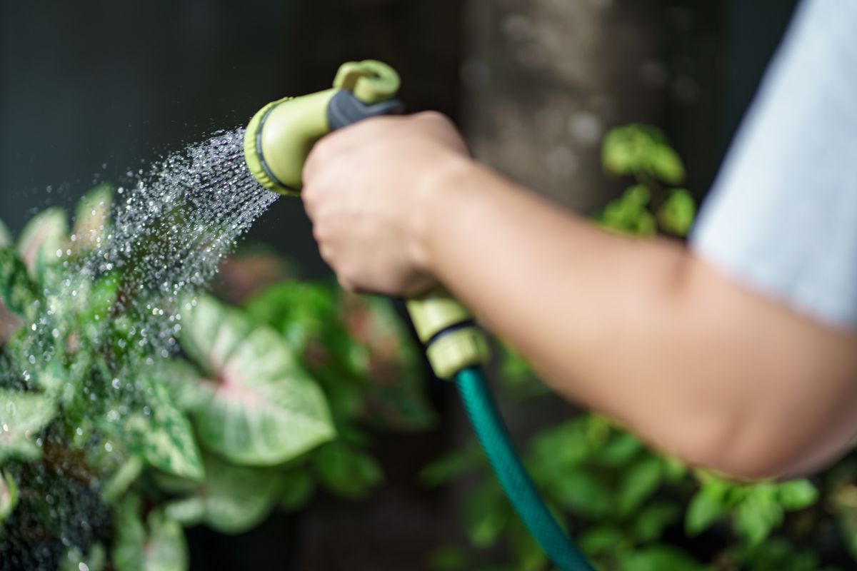 water for vertical garden