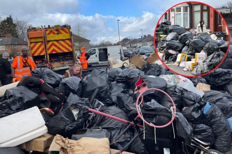 Birmingham Bin Strikes
