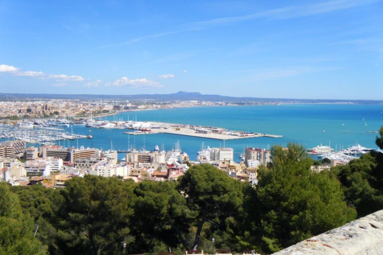 Majorca Tourism Decline