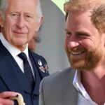 Prince Harry and King Charles (1)