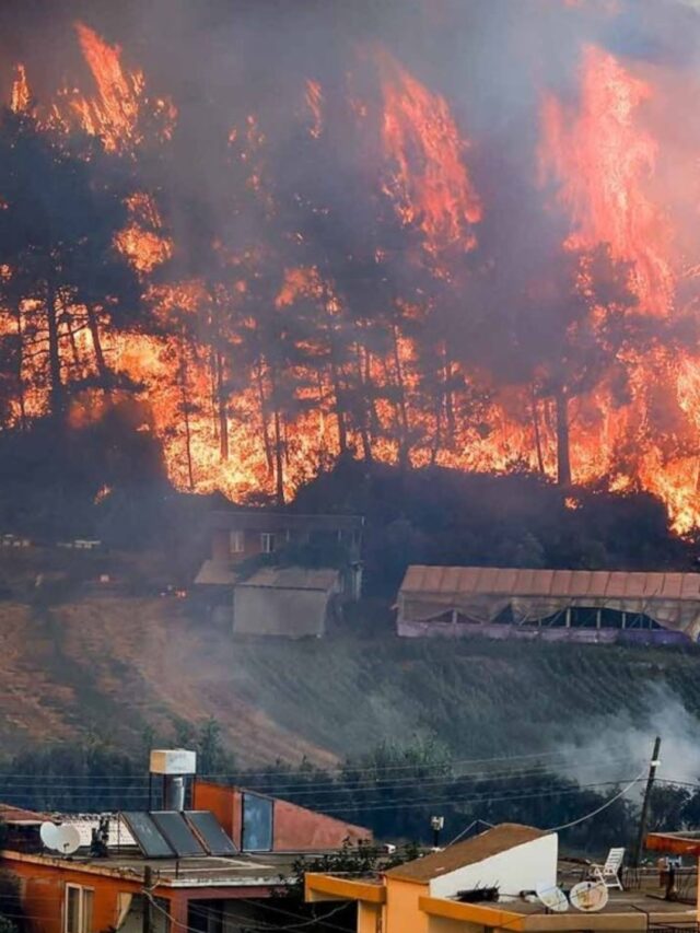 Antalya Wildfire Sparks Hotel Evacuations