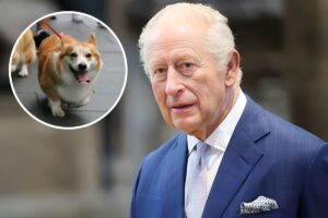 King Charles Allegedly Wants to Take the Queen's Corgis