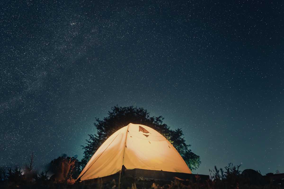 Camping Under Star-Filled Skies