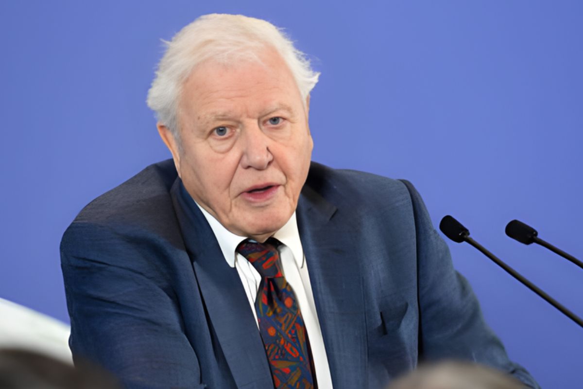 How Old Is David Attenborough
