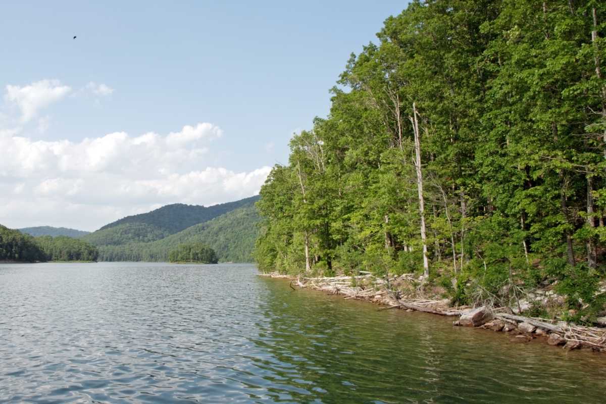 Lake Moomaw