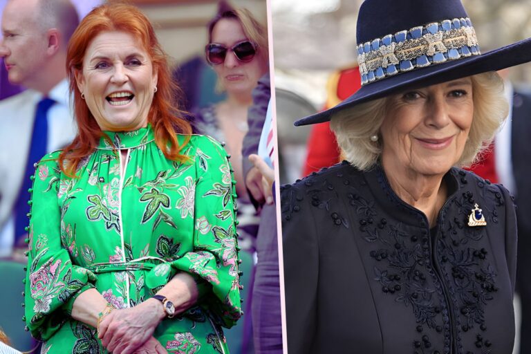 sarah ferguson tensions with queen camilla grow after recent scandals