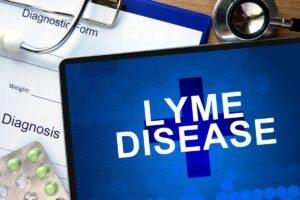 Lyme disease cases are rising in UK