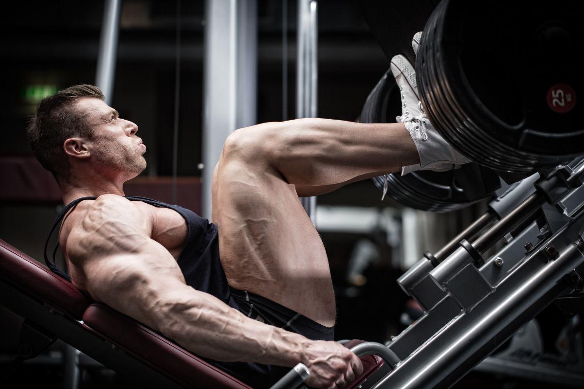Leg Press