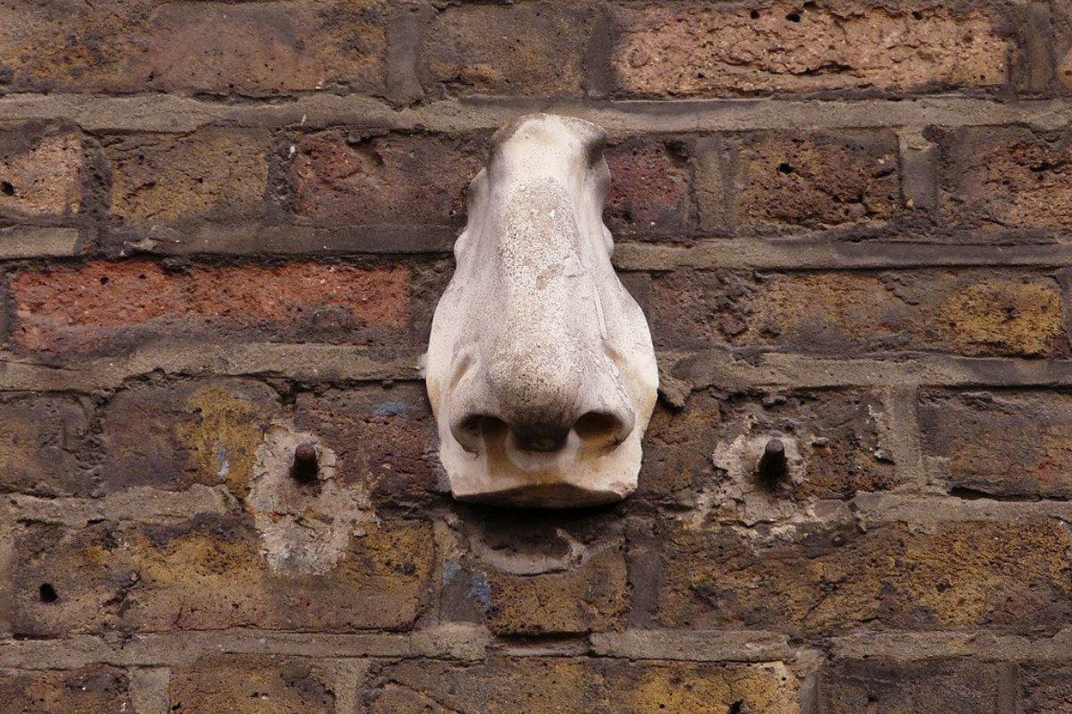 The Seven Noses of Soho london