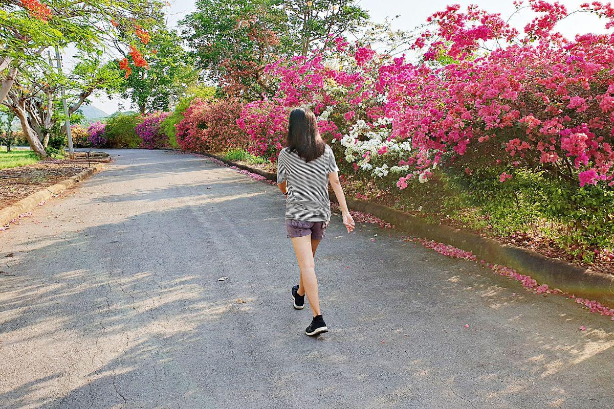 Walking