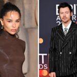 Harry Styles and Zoë Kravitz's Relationship