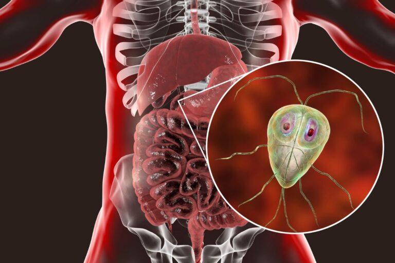is there a stomach bug going around right now uk